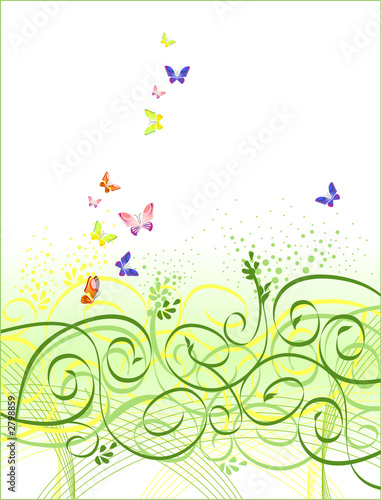 vector floral and butterfly background