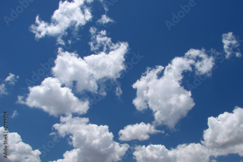 Foto summer sky