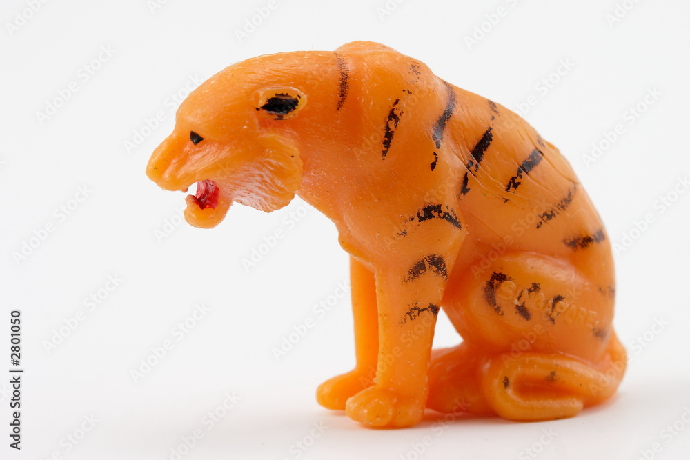 Fototapeta premium tigre