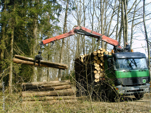 holztransport