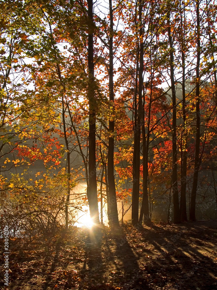 fall sun