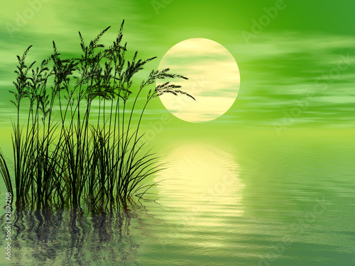 grass_sunset_mid_a