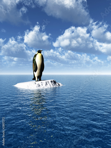 penguine_cs