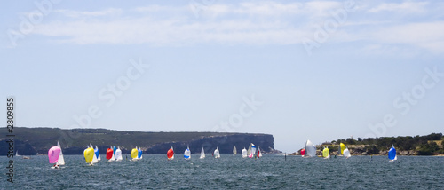 sailboats in sydney harbor