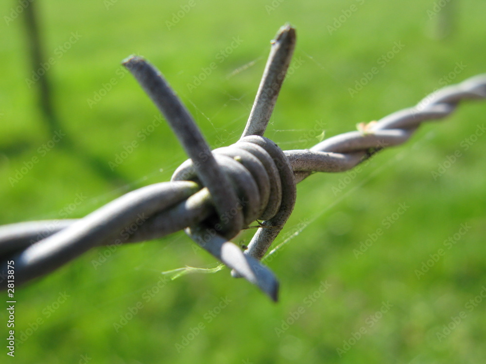 Obraz premium barbed wire