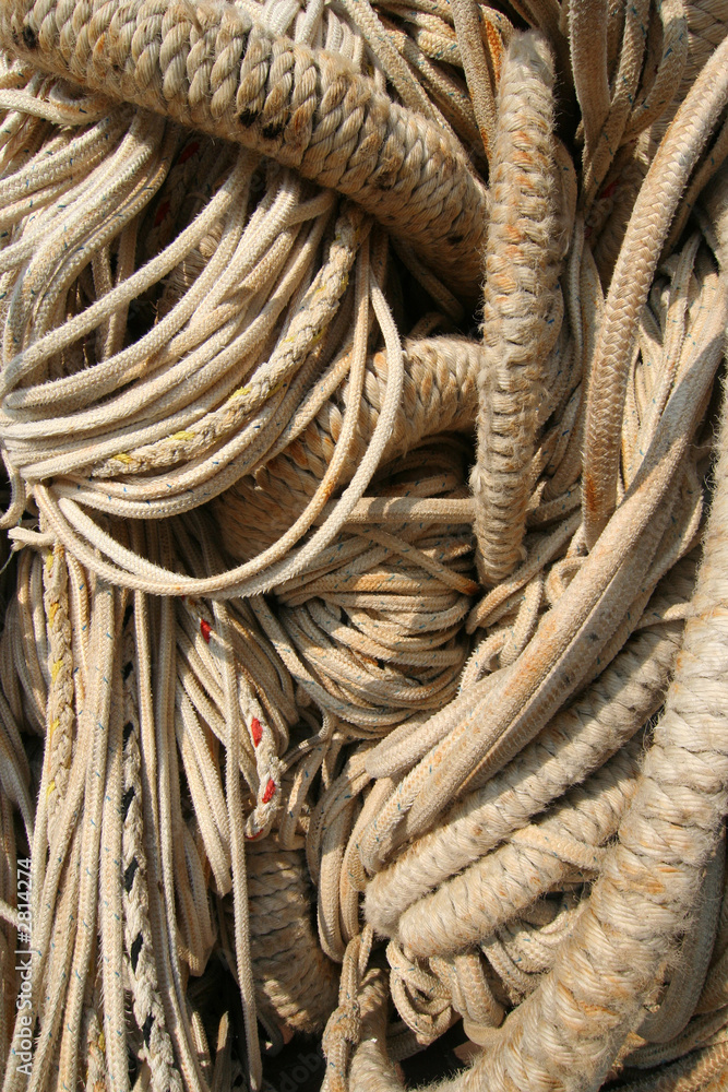 entangled ropes