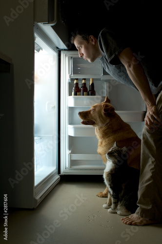 looking for food