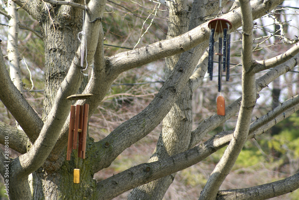 windchimes in a tree