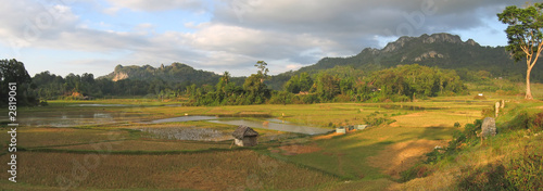 Foto ricefields from londa to kete kesu, rantepao, sulawesi island, i