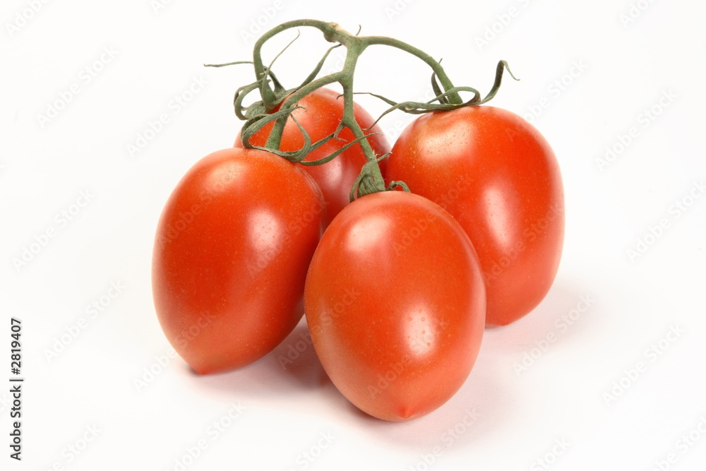 vine plum tomatoes vine plum tomatoes