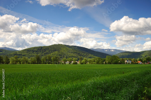 summer landscape