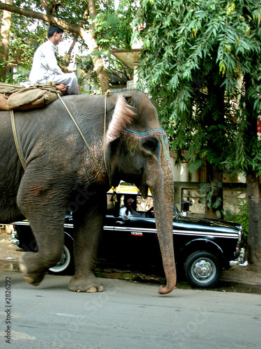 elephant sacré et taxi
