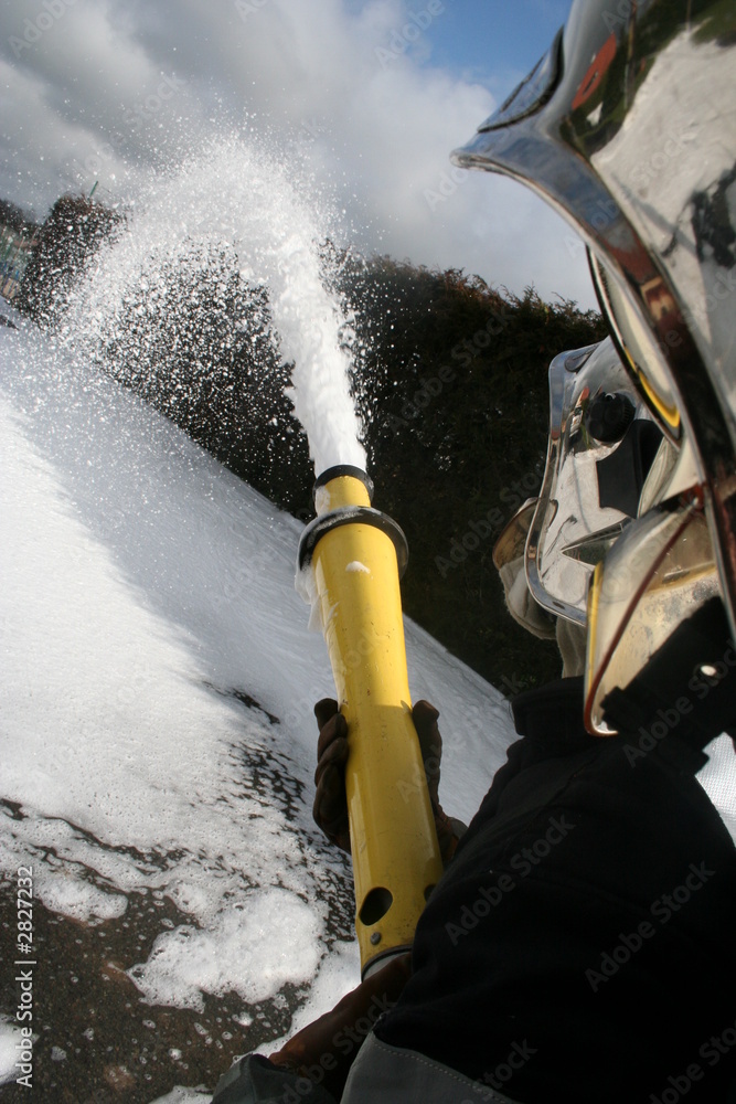 Obraz premium mousse