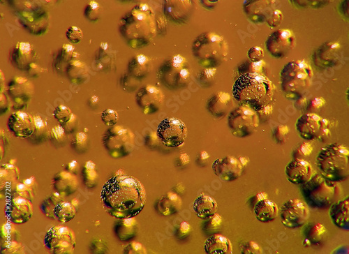 bubbles in glass