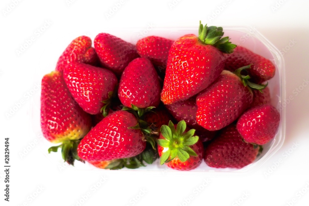 erdbeeren erdbeeren