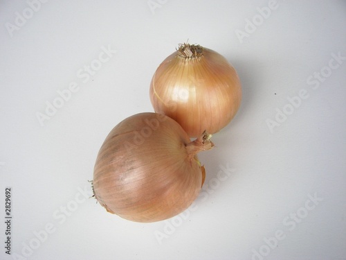 Wallpaper Mural onions Torontodigital.ca