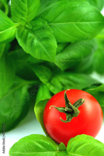 fresh basil and tomato
