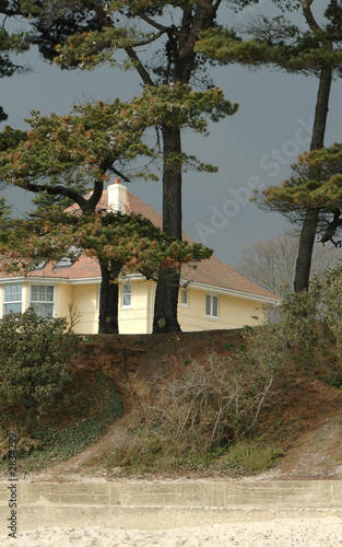 Wallpaper Mural seafront real estate Torontodigital.ca