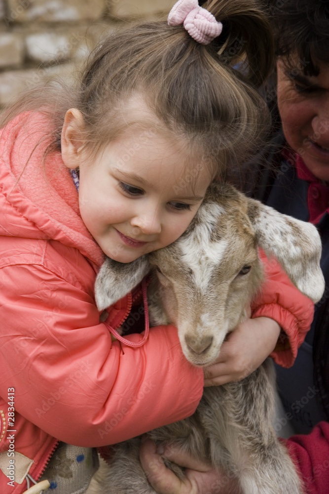 little baby goat