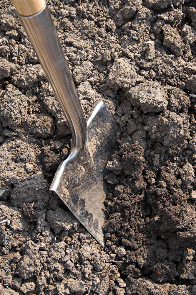 Fototapeta premium digging