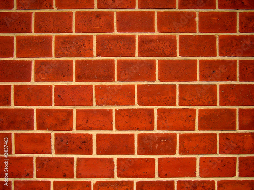 brick wall 1#