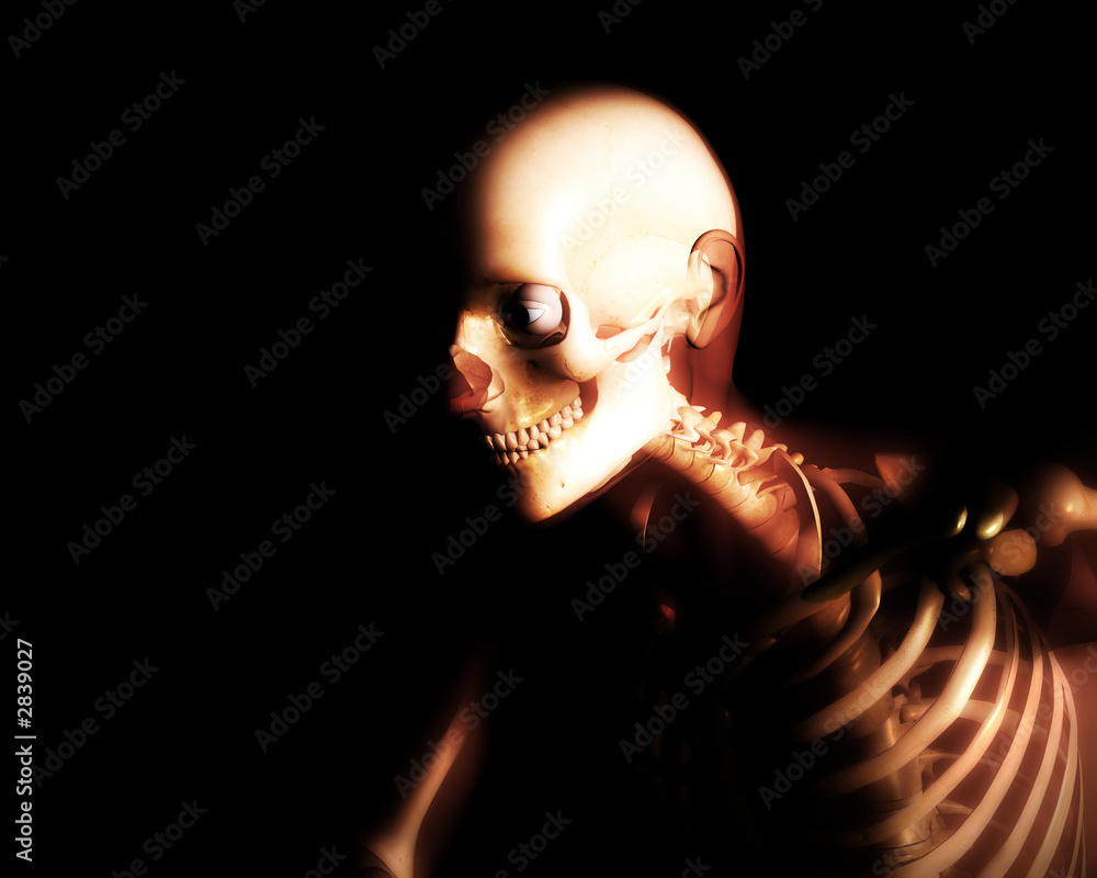 an x ray image of a man in which you can see the s an x ray image of a man in which you can see the s