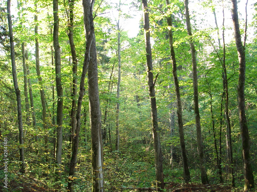 sigulda2 sigulda2