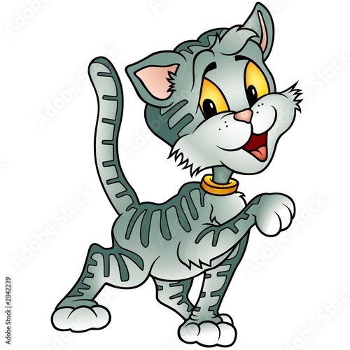 striped bewildered kitten