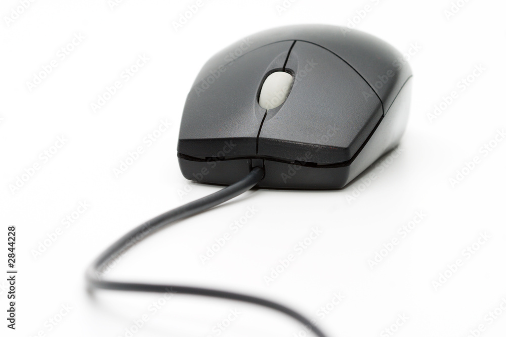 computer mouse computer mouse