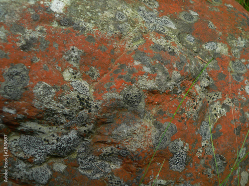 orange rock texture