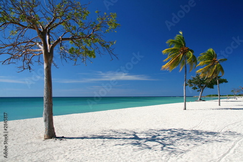 caribic selection cuba ii