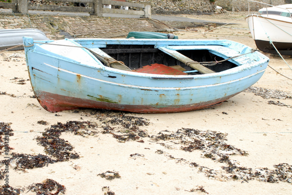 Fototapeta premium coque bois