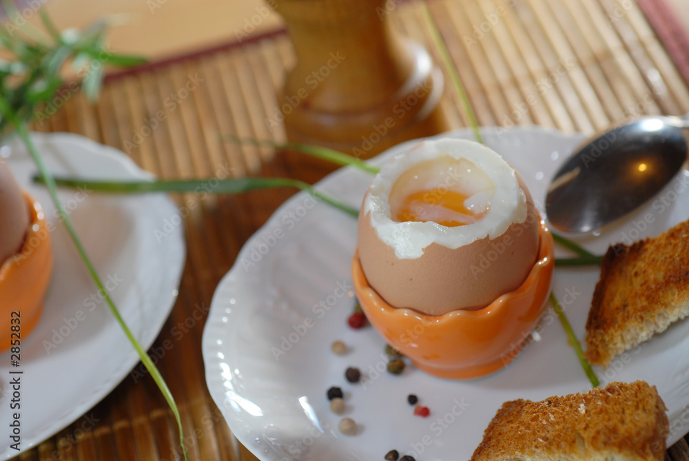 oeuf