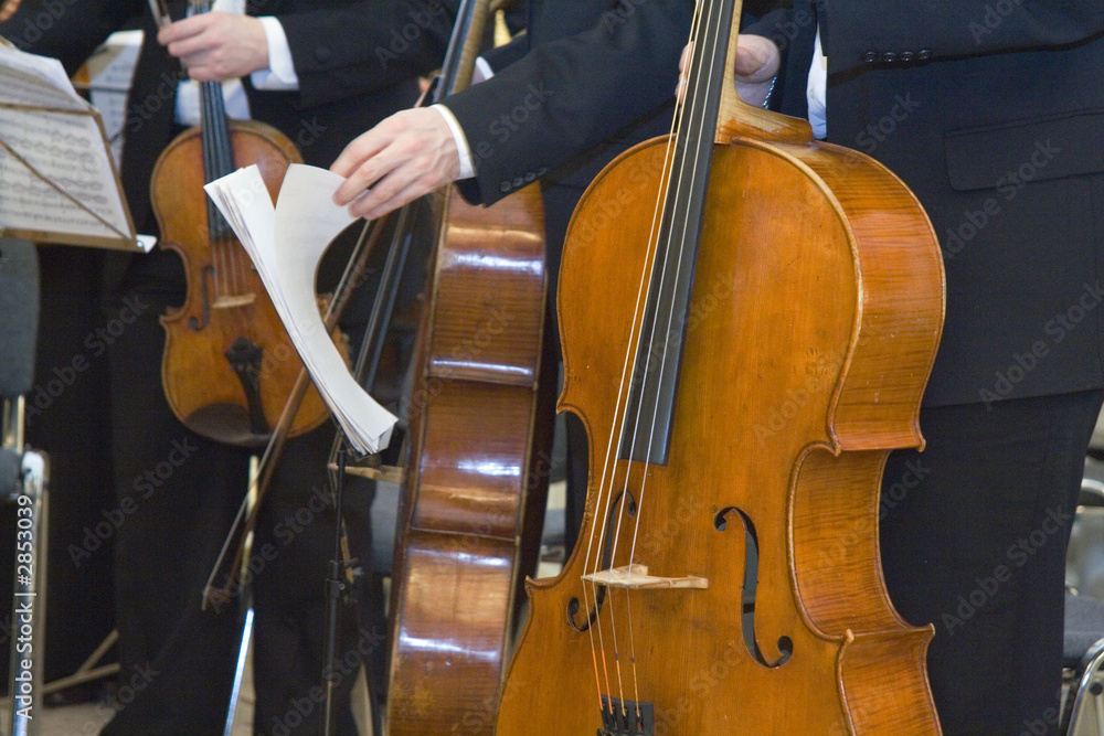 Fototapeta premium the concert of the classical music