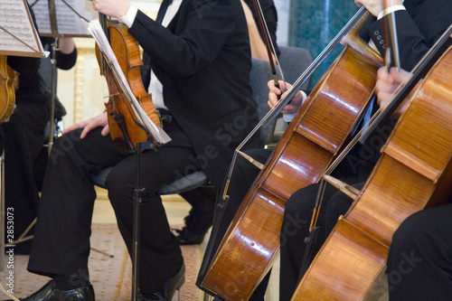 the concert of the classical music