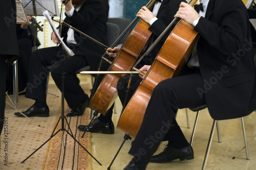 the concert of the classical music