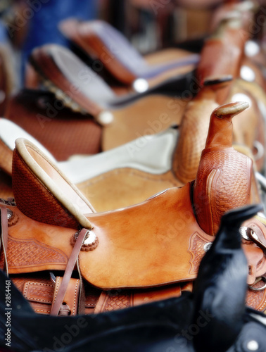 line of saddles