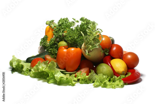 fresh tasty vegetables isolated on white