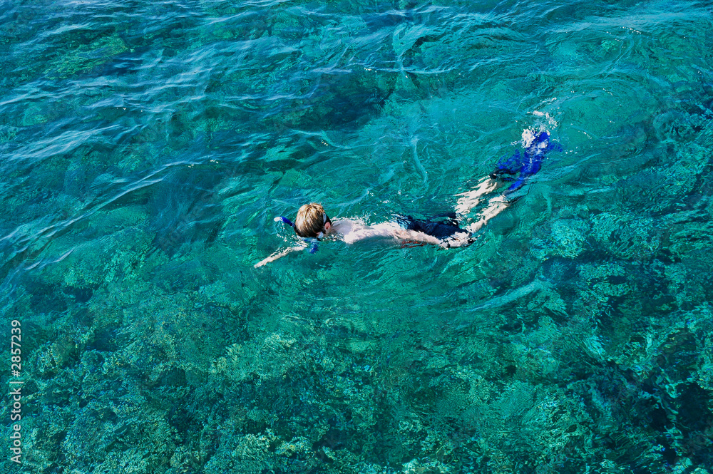 boy snorkelling in the ocean
