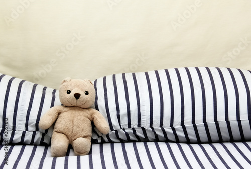 happy teddy bear