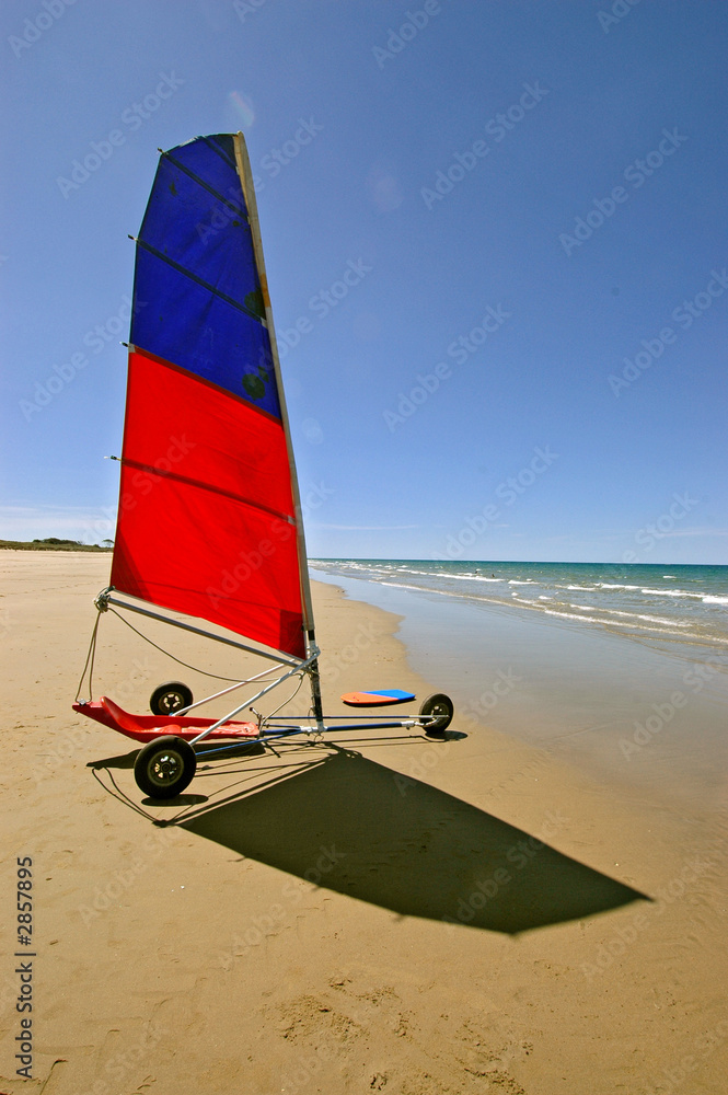 Fototapeta premium activities on the beach