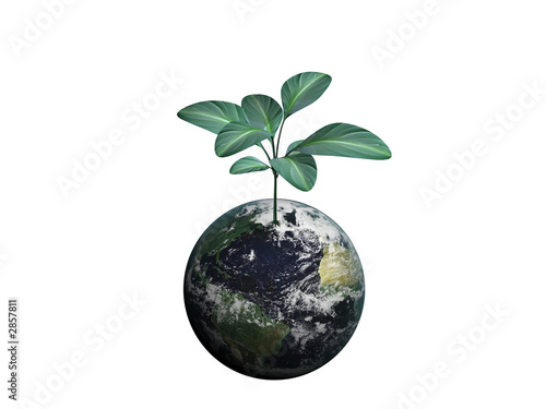 growing earth