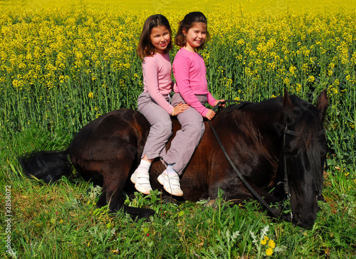 jumelles a cheval