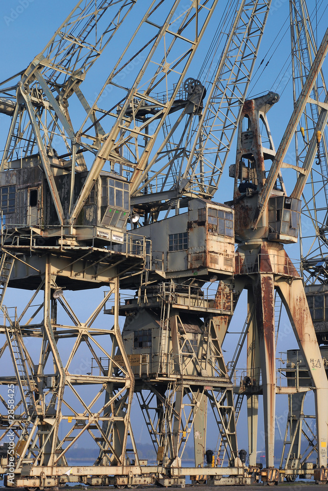 group of old cranes 3 group of old cranes 3