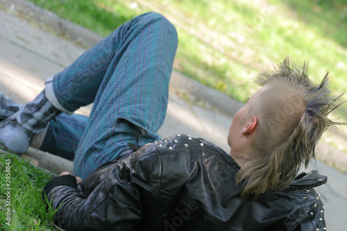 Tableau sur toile mohawk hairstyle