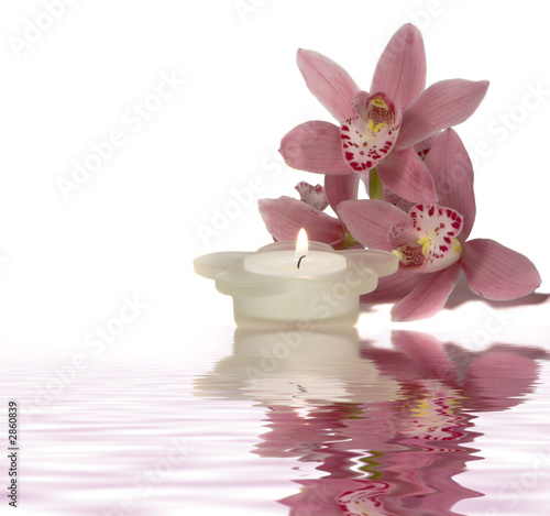 reflected orchid and candle