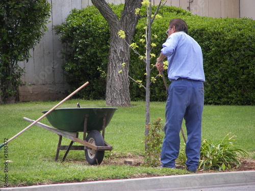 gardening