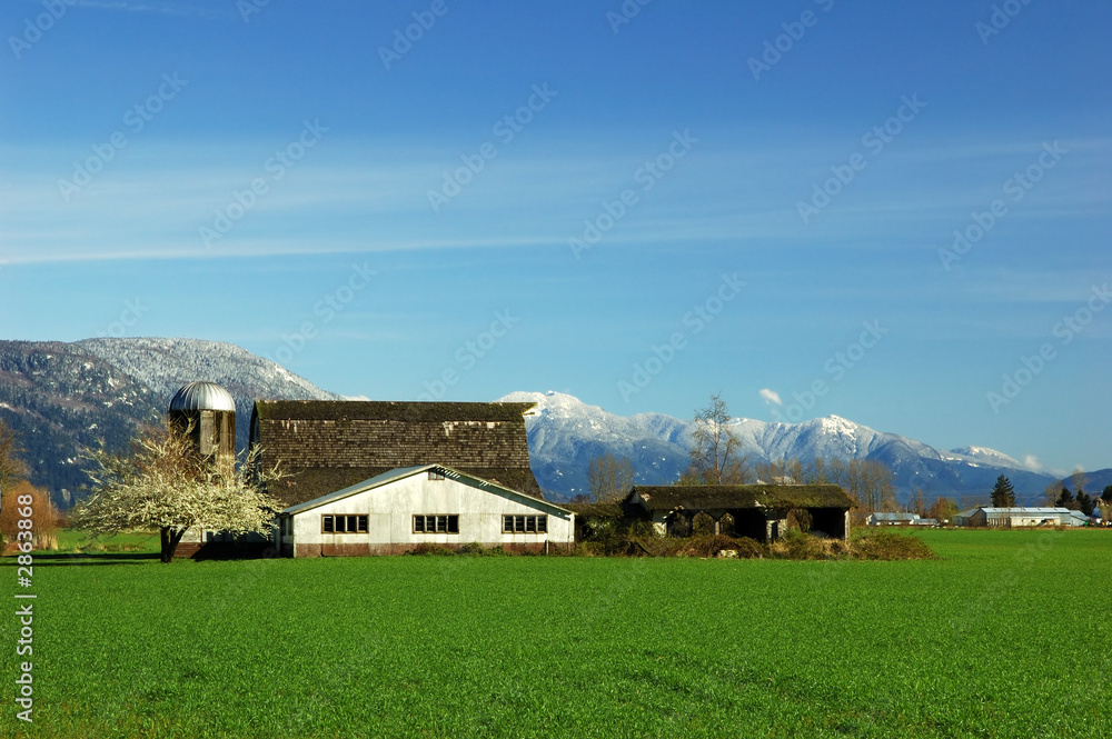 Obraz premium farmland in spring