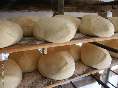 brot vor dem backen