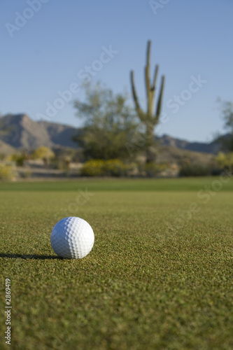 desert golf course
